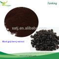 Black wolfberry extract powder 25% anthocyanidin